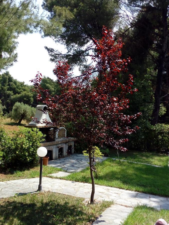 Ferienwohnung Sithonia Alekos Luxury Experience Metamorfosi  Exterior foto